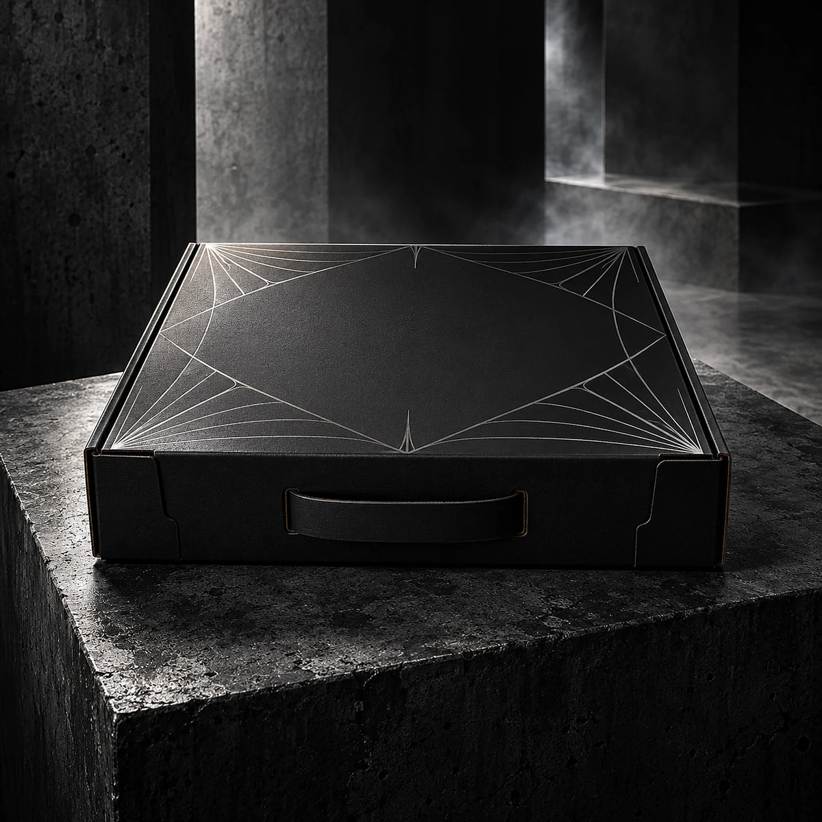 Conceptual ARACHNEX Unknown Box compact matte black cardboard packaging with silver web graphic on concrete.